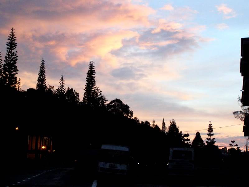 P7150583.jpg
