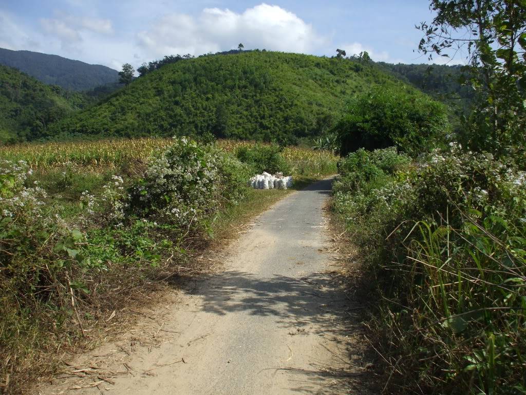 DSCF42431.jpg