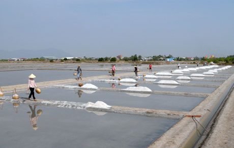 san-xuat-muoi.jpg