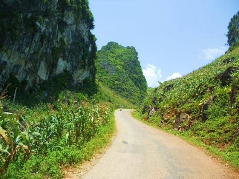 DSCN3877.jpg