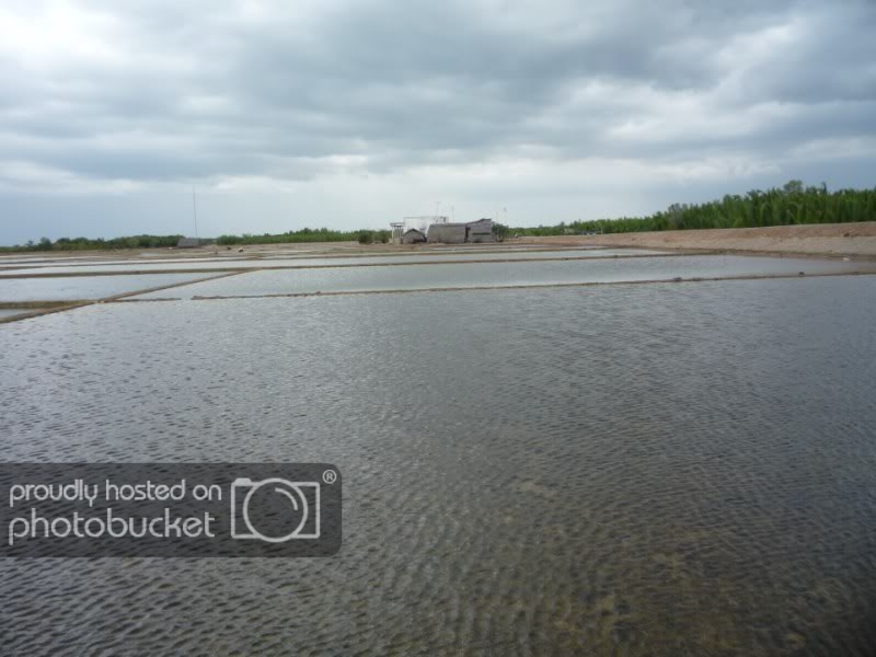 P1030287800x600.jpg