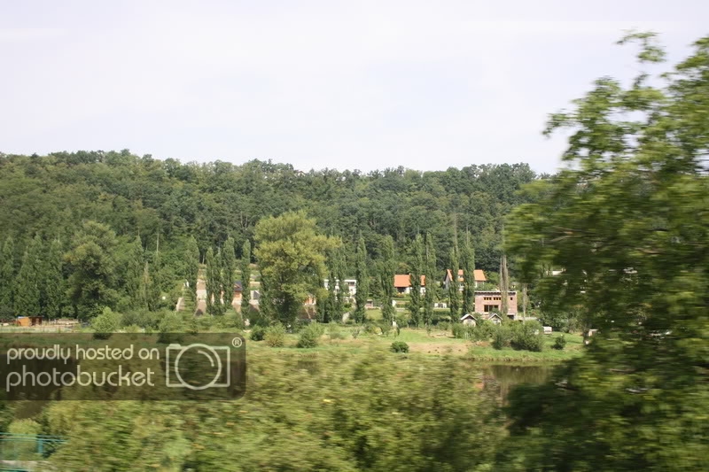 IMG_4804.jpg
