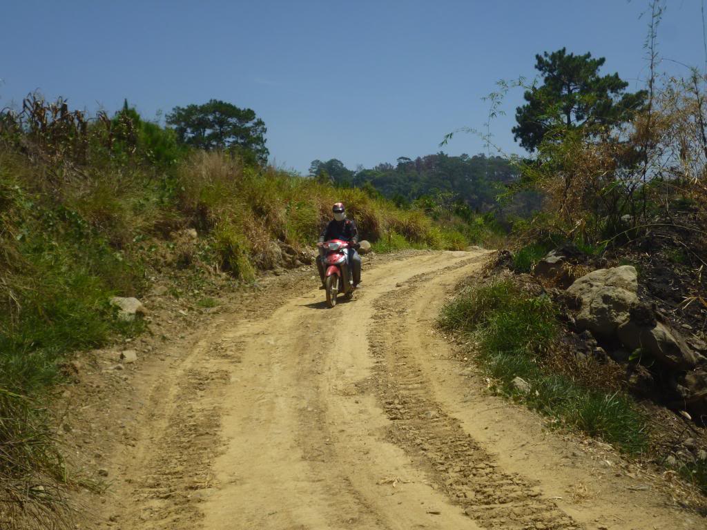 P1010940_zpsb6c28d63.jpg