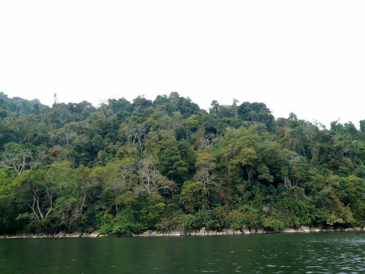 P1050553.JPG