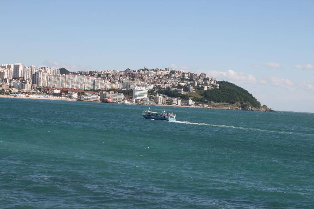 IMG_9915.jpg