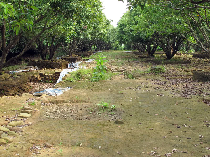 TayYenTu1010476.jpg