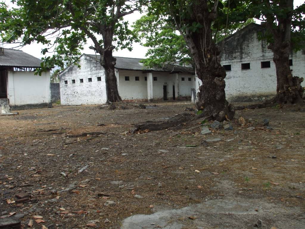 DSCF6584.jpg