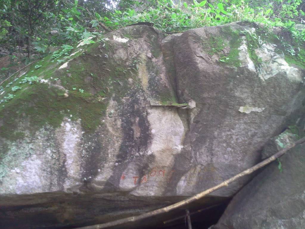 Photo0780.jpg