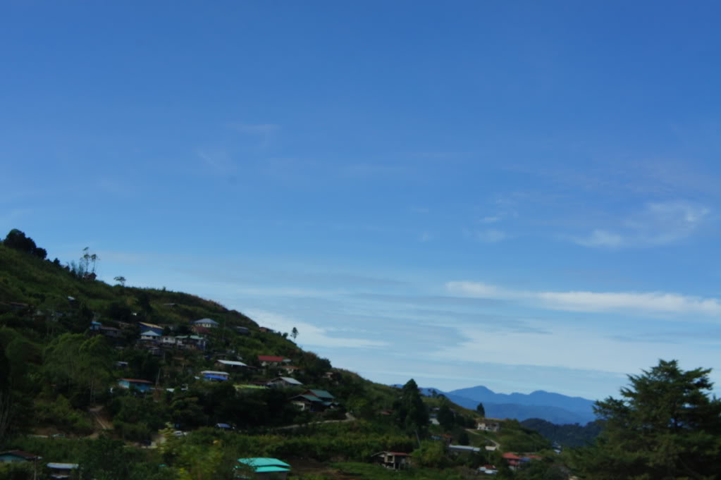 DSC04791.jpg