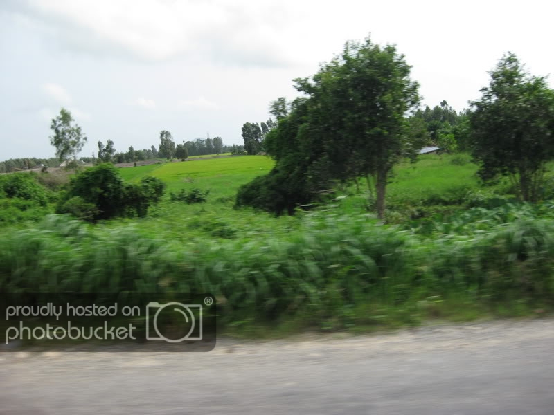 IMG_0199_resize.jpg