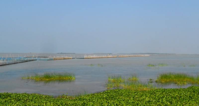 DSCN9651-1.jpg