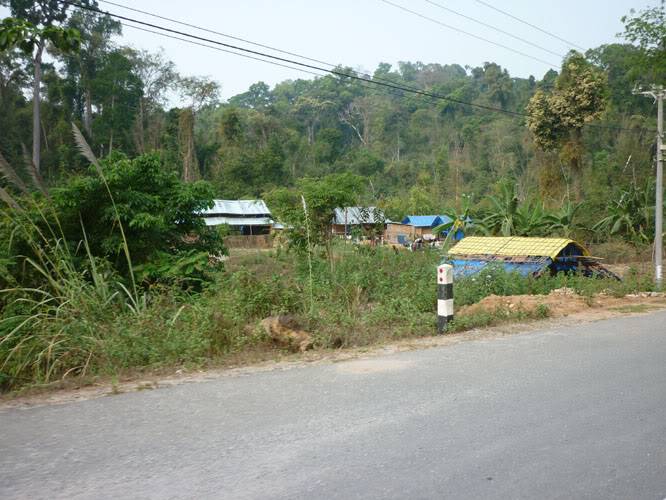 P1050360.jpg
