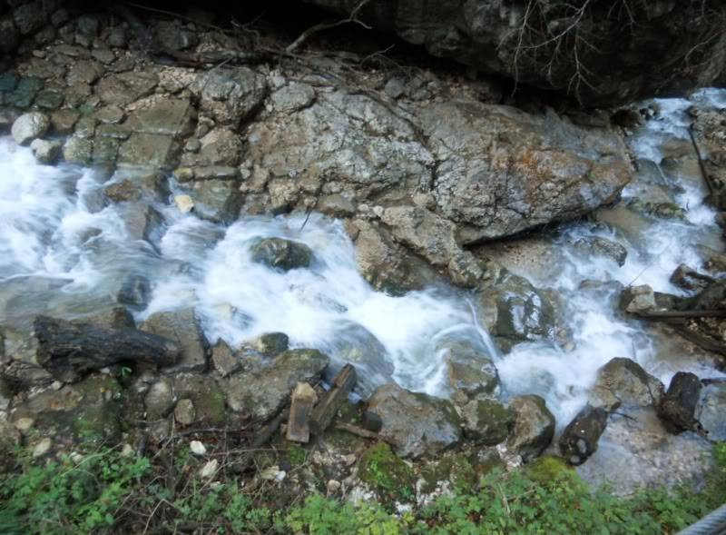 DSCN5308.jpg