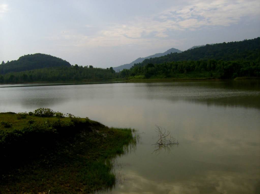 HPIM0894.jpg