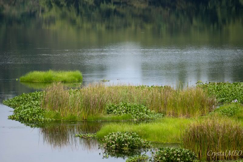DSC_0365.jpg