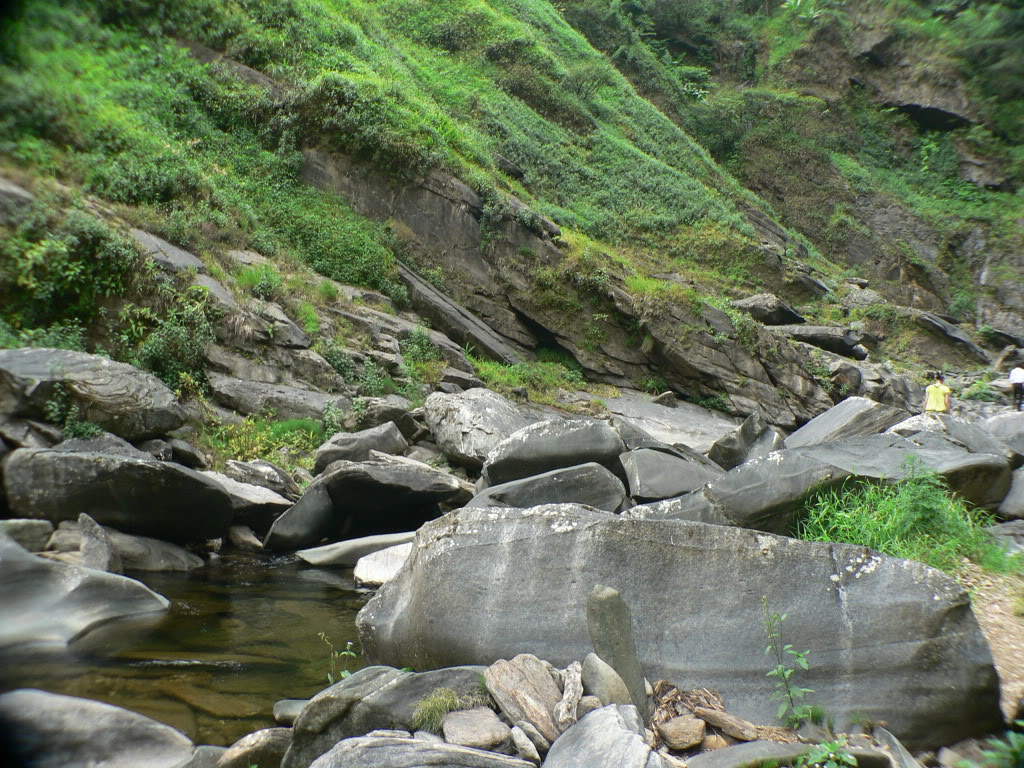 P1100019-1.jpg