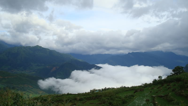 DSC03430.jpg