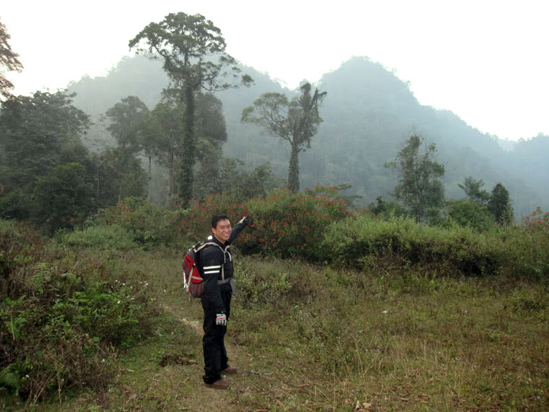 Xuanson2009305.jpg