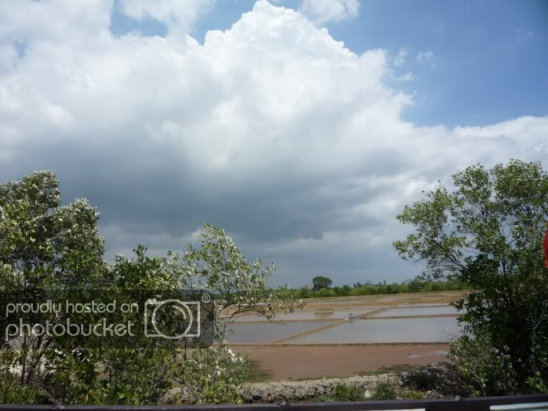 P1030254800x600.jpg