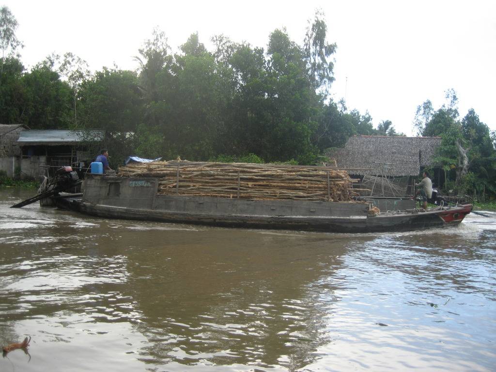 IMG_0788-Copy.jpg