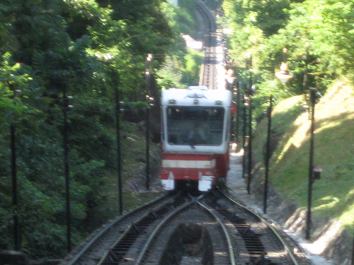 2606828644_01f3925e25.jpg
