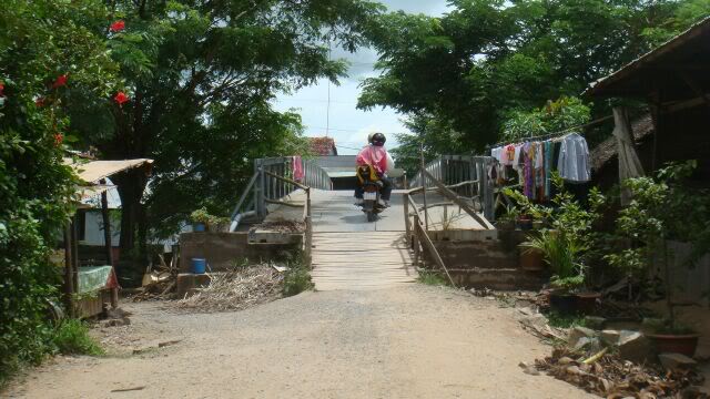 DSC05778.jpg