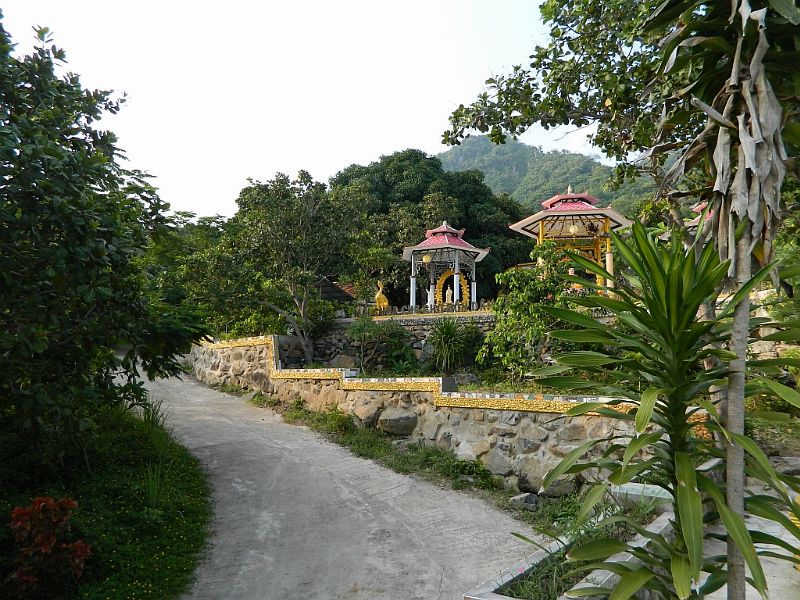 DSCN2534.jpg