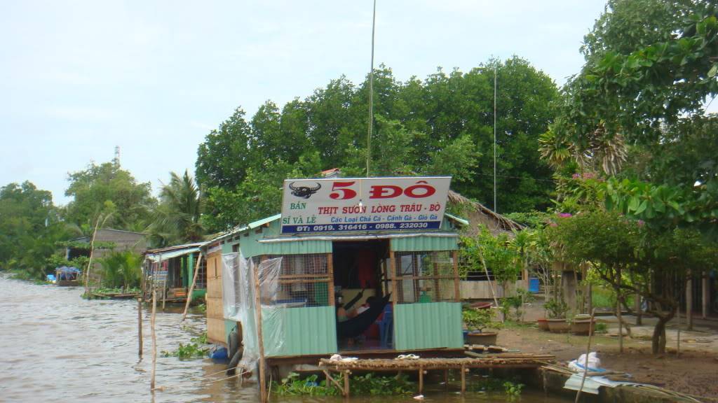285.jpg
