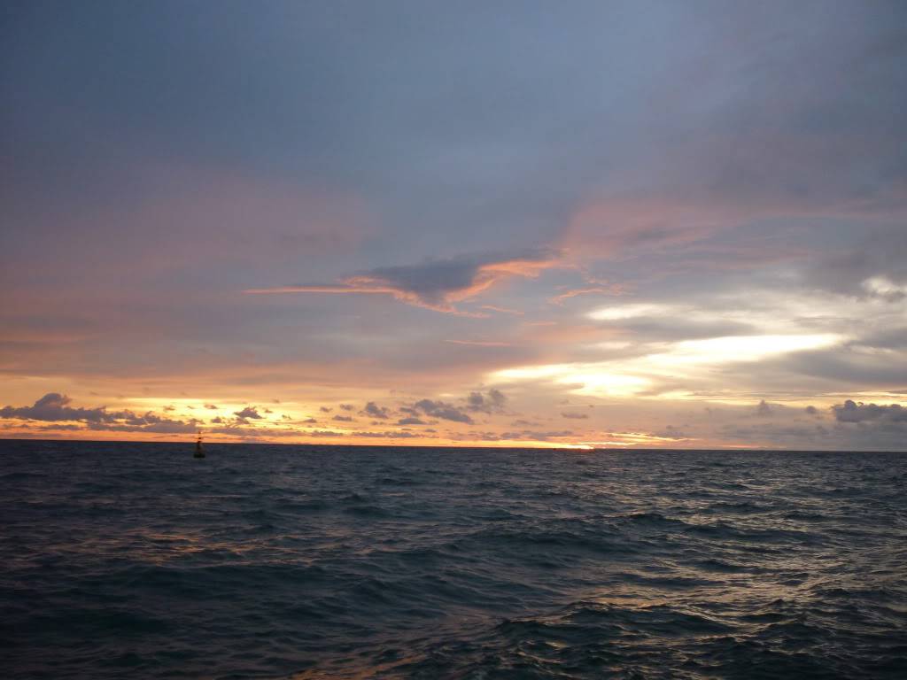 P1030736.jpg