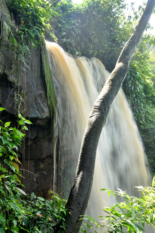 DSC_1457.jpg