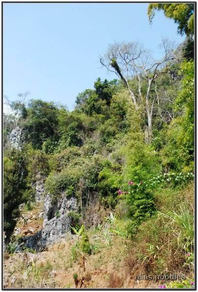 Lao_5_2009_0139.jpg