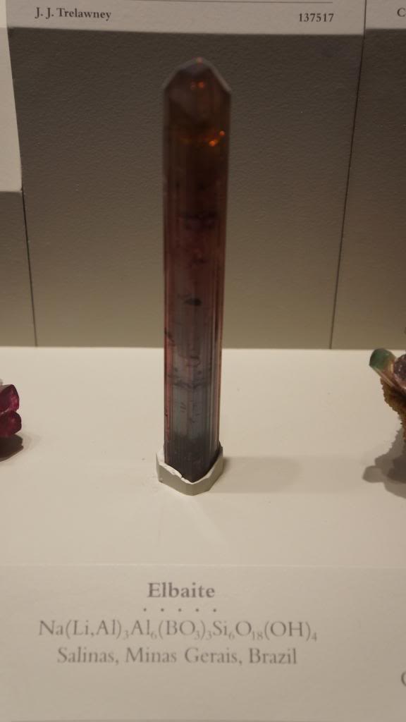 DSC05792_zps4fc42231.jpg
