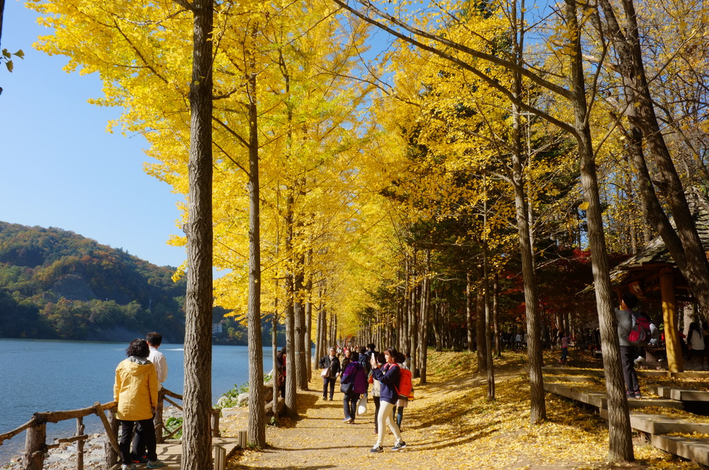 DSCF5787.jpg