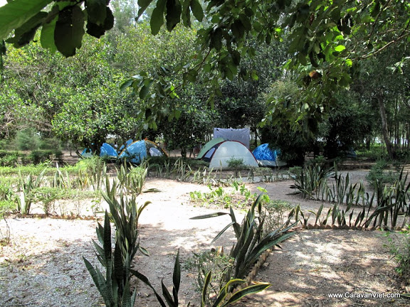 IMG_5450.JPG