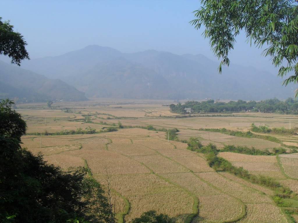 SDC10580.jpg
