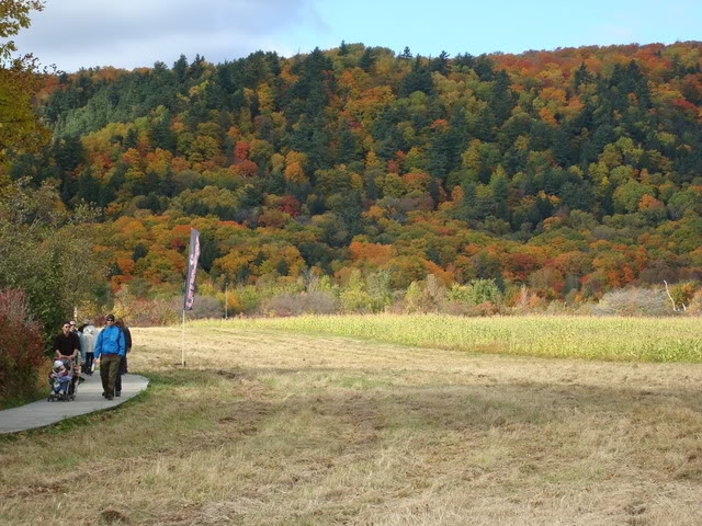 DSC04938.jpg