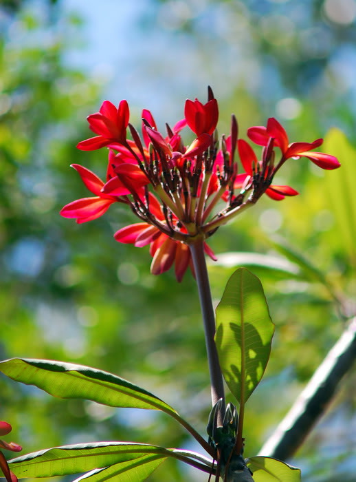 DSC_6805_resize.jpg