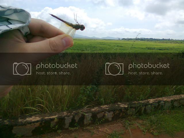 Hinh0044.jpg