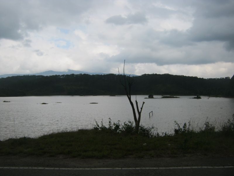 IMG_9411.jpg