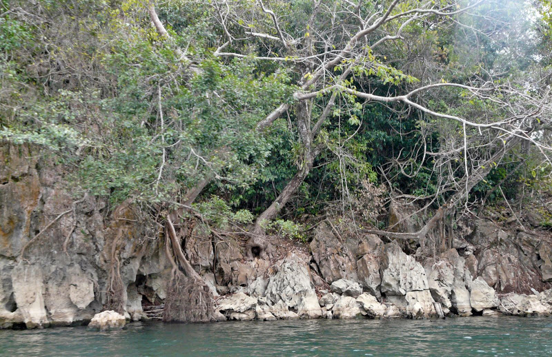 P1050633.JPG