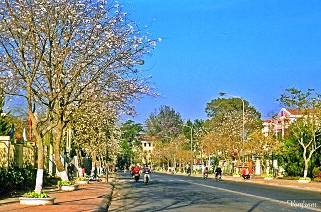 00050-08.jpg