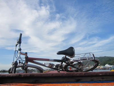 IMG_3243_resize.JPG