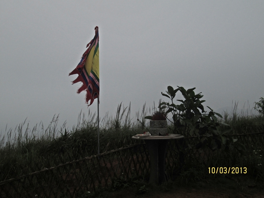 IMG_0462_zps6ef47618.jpg