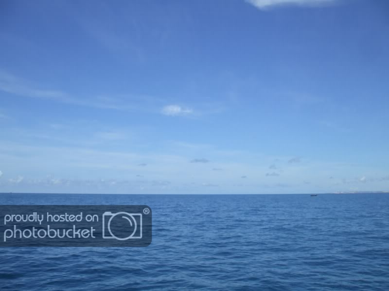 DSCF7371.jpg