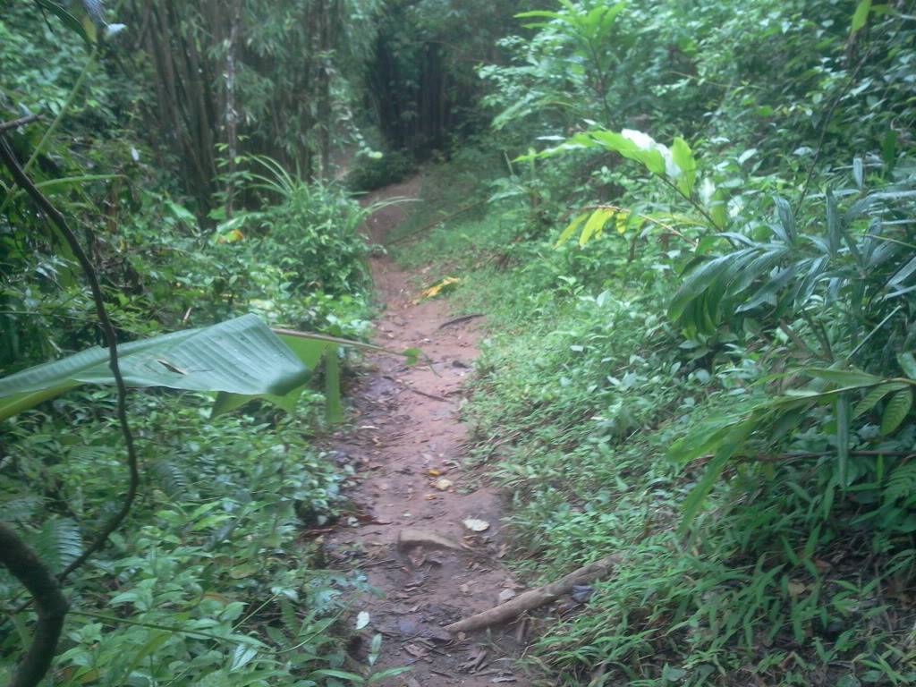 Photo0818.jpg