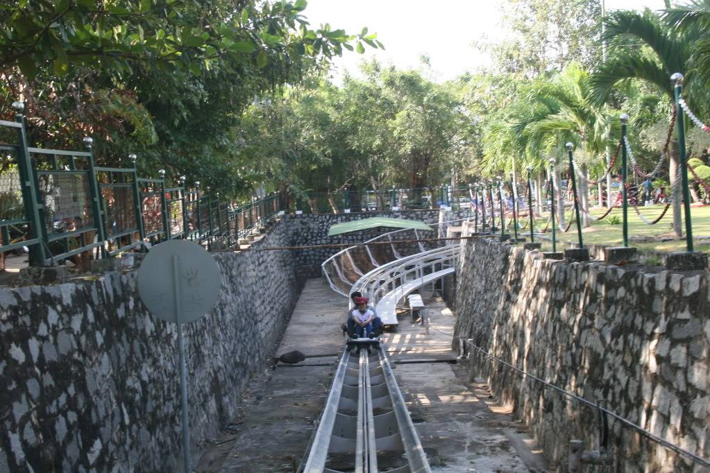 IMG_5453.jpg
