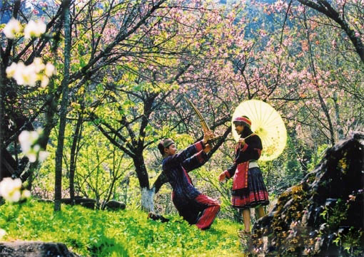 sapa38_zpss06anscu.jpg