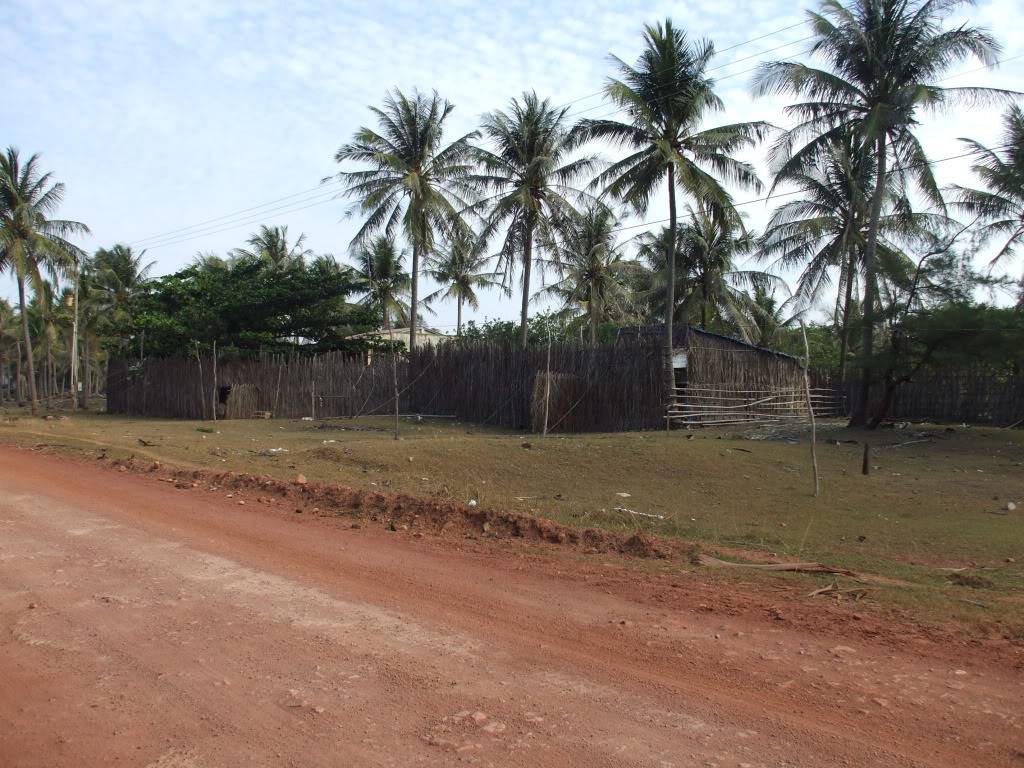 DSCF5050.jpg