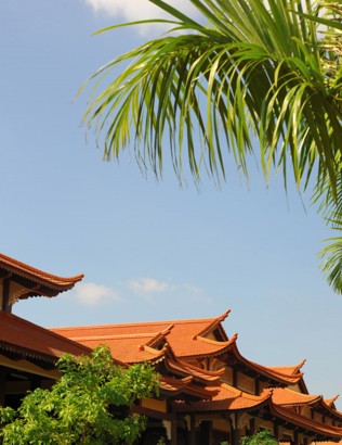 n11_948776245.jpg