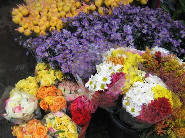 IMG_0356.jpg